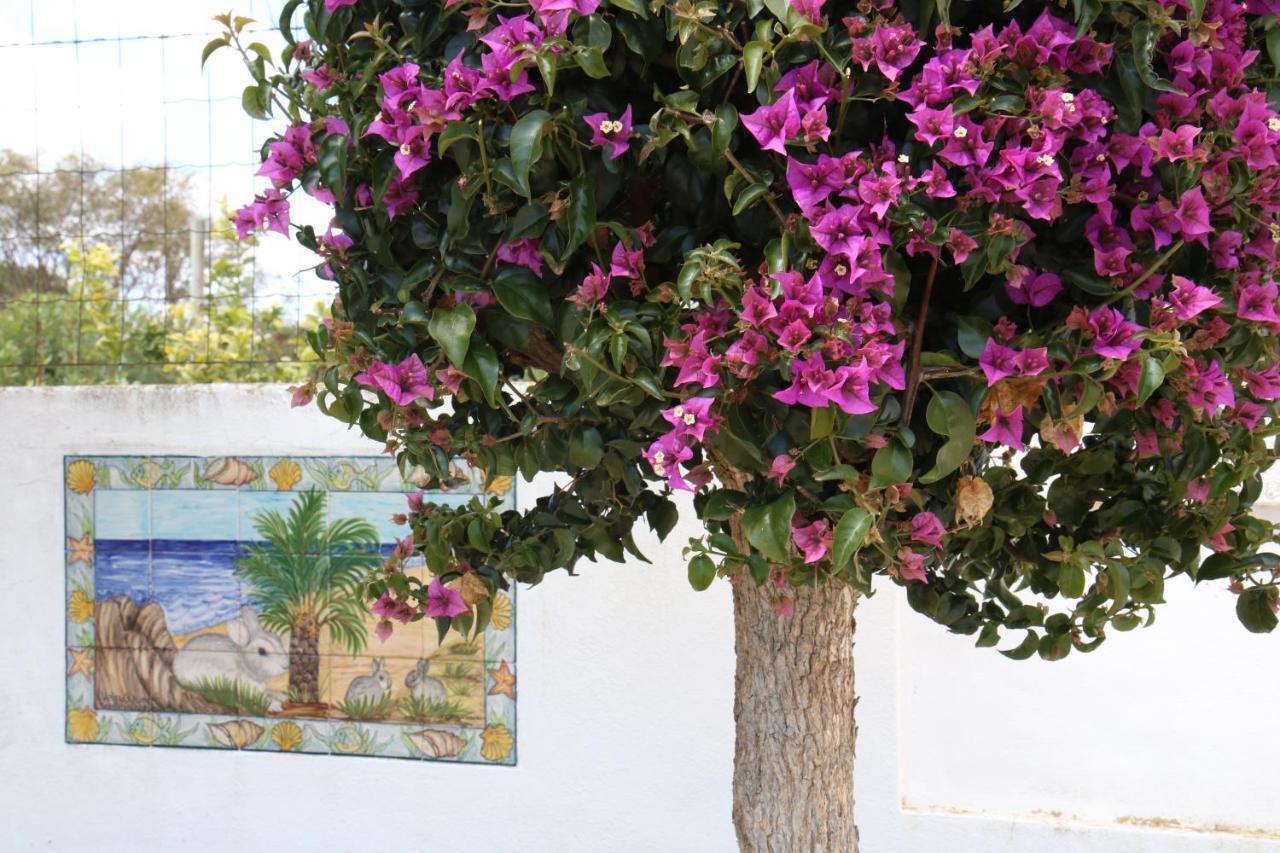 Pine Tree Apartments - Praia Da Coelha - Albufeira Exterior photo